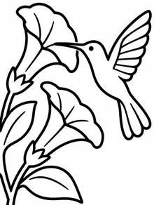 Garden and Birds coloring page