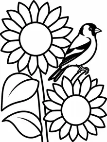 Garden and Birds coloring page