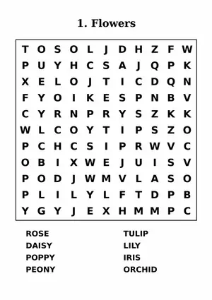 Large Print Word Search puzzle page